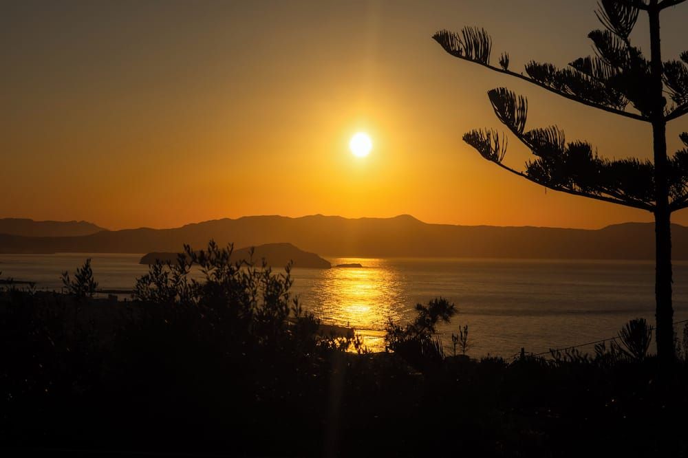 المظهر الخارجي