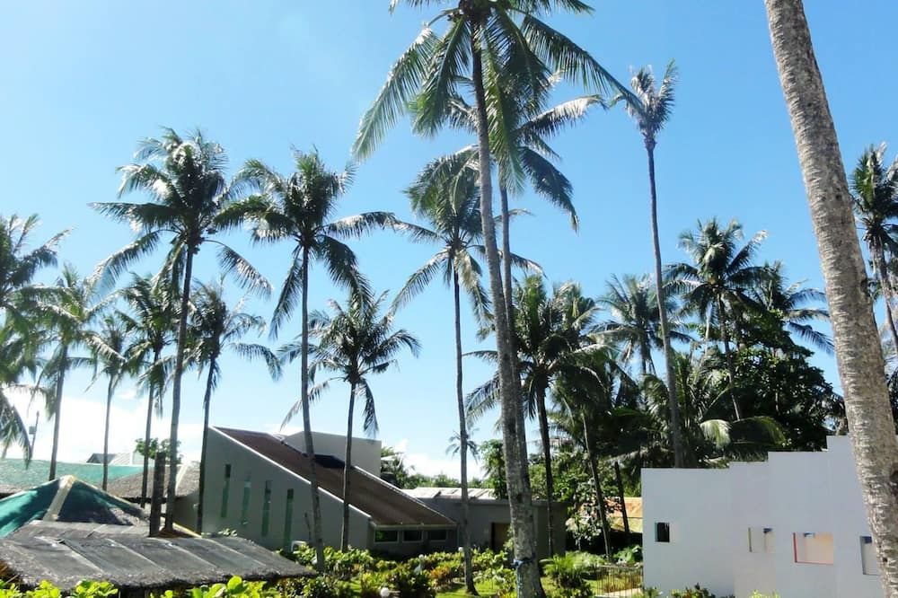 المظهر الخارجي