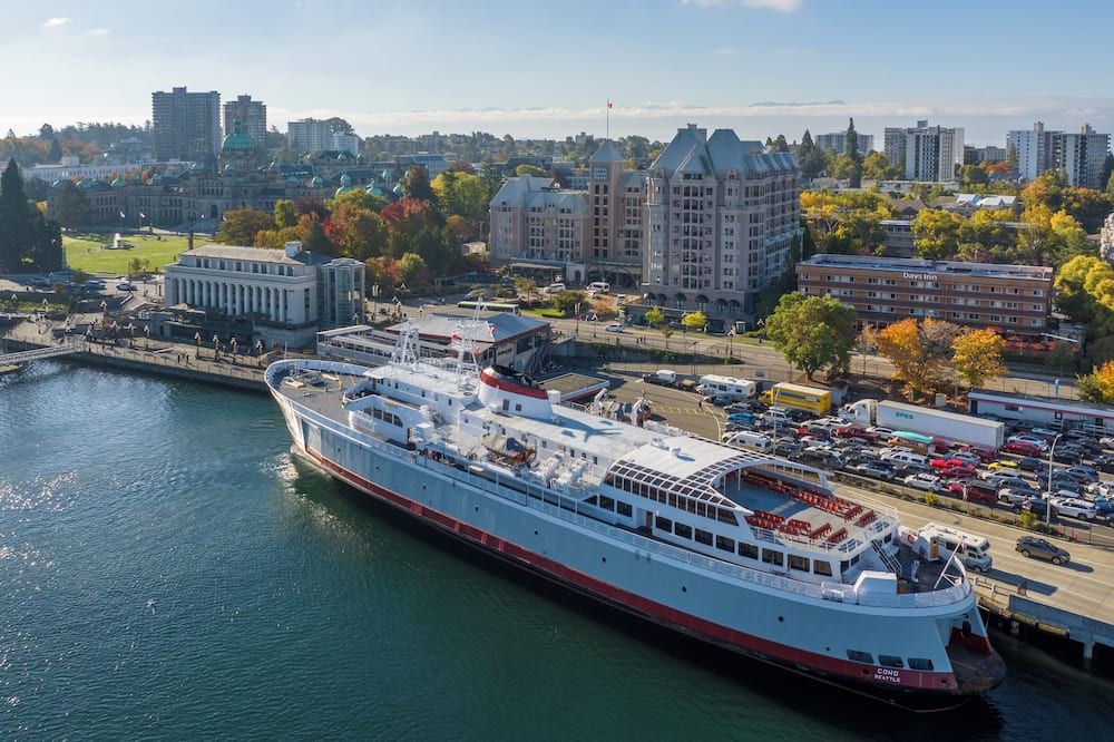 المظهر الخارجي