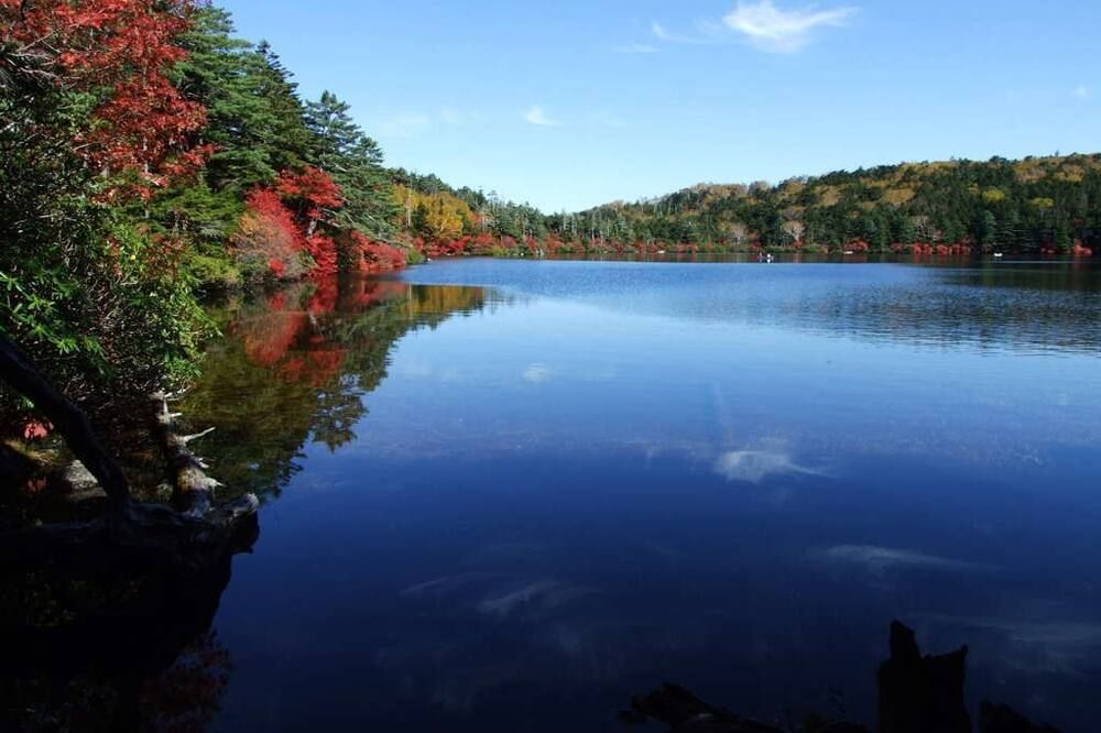 المظهر الخارجي