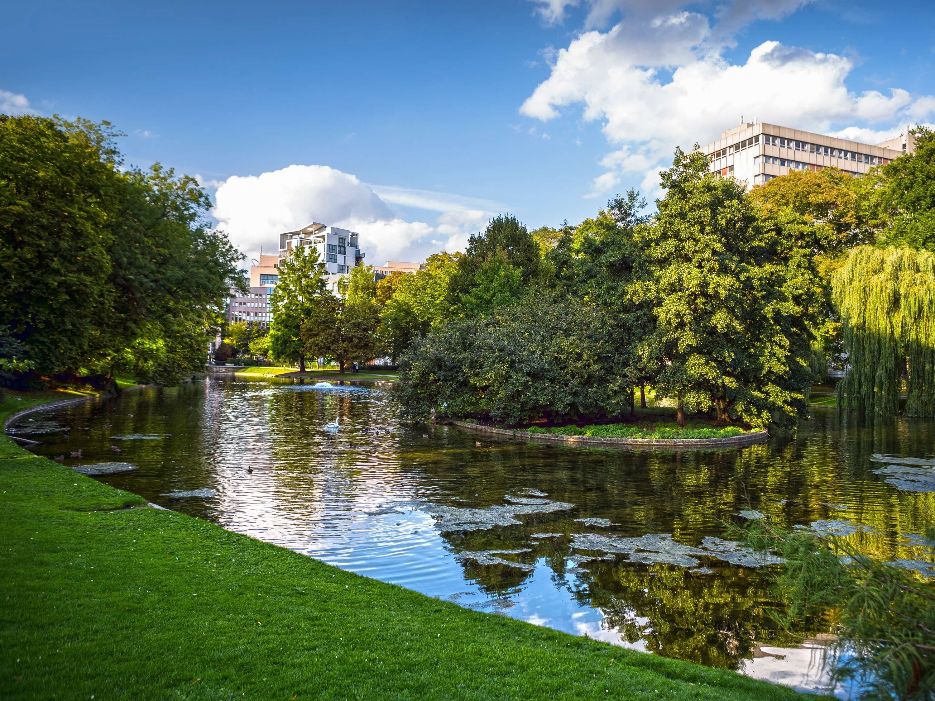 المظهر الخارجي