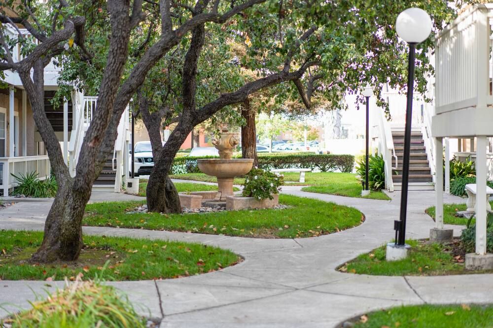 المظهر الخارجي