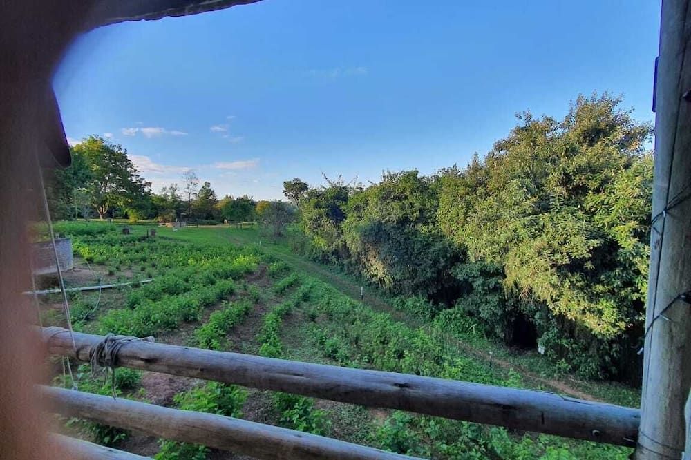 المظهر الخارجي