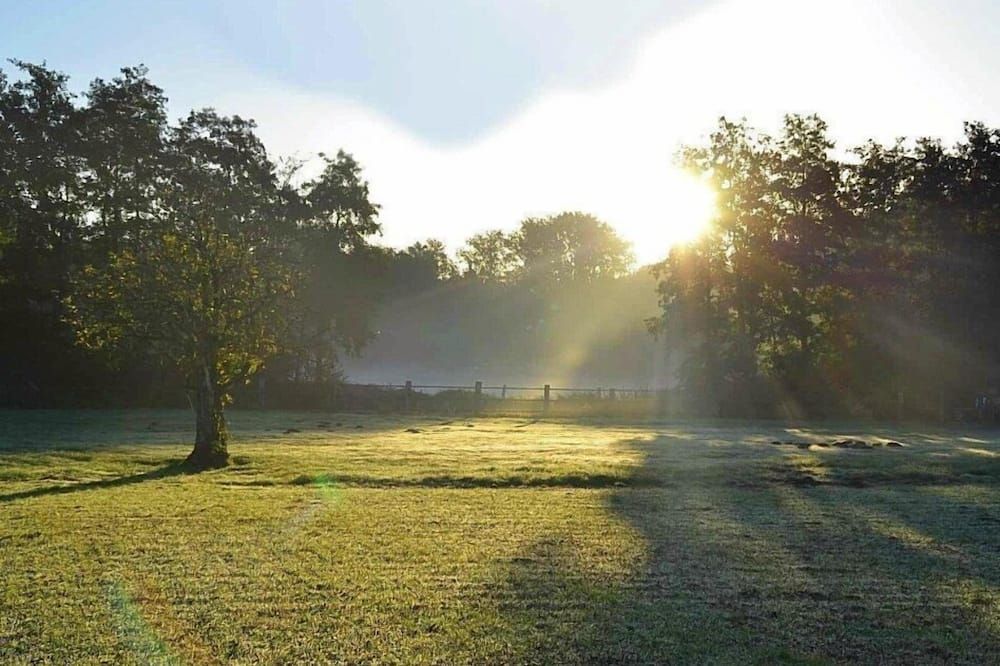 المظهر الخارجي