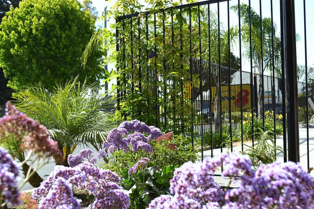 المظهر الخارجي