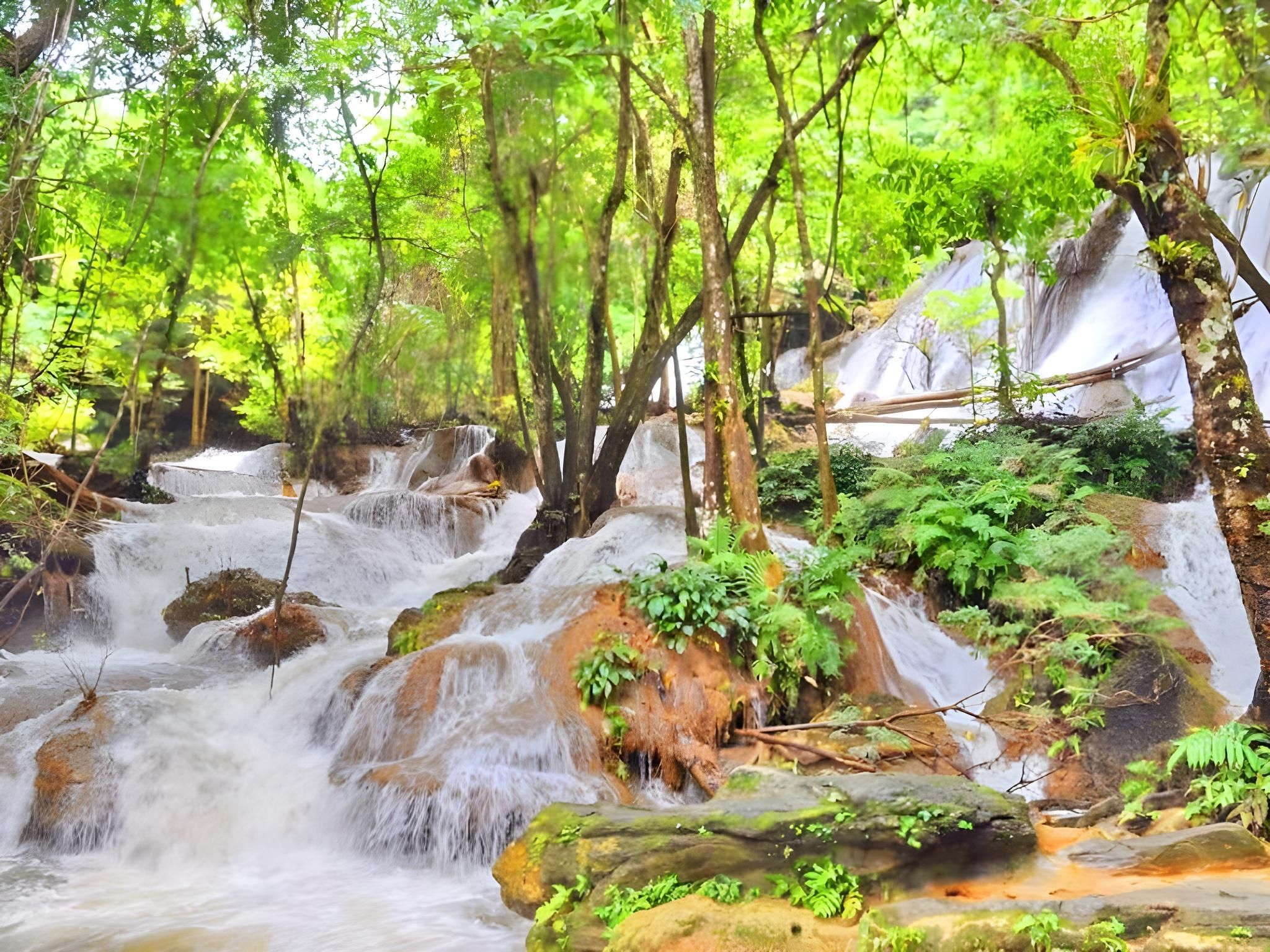 المظهر الخارجي