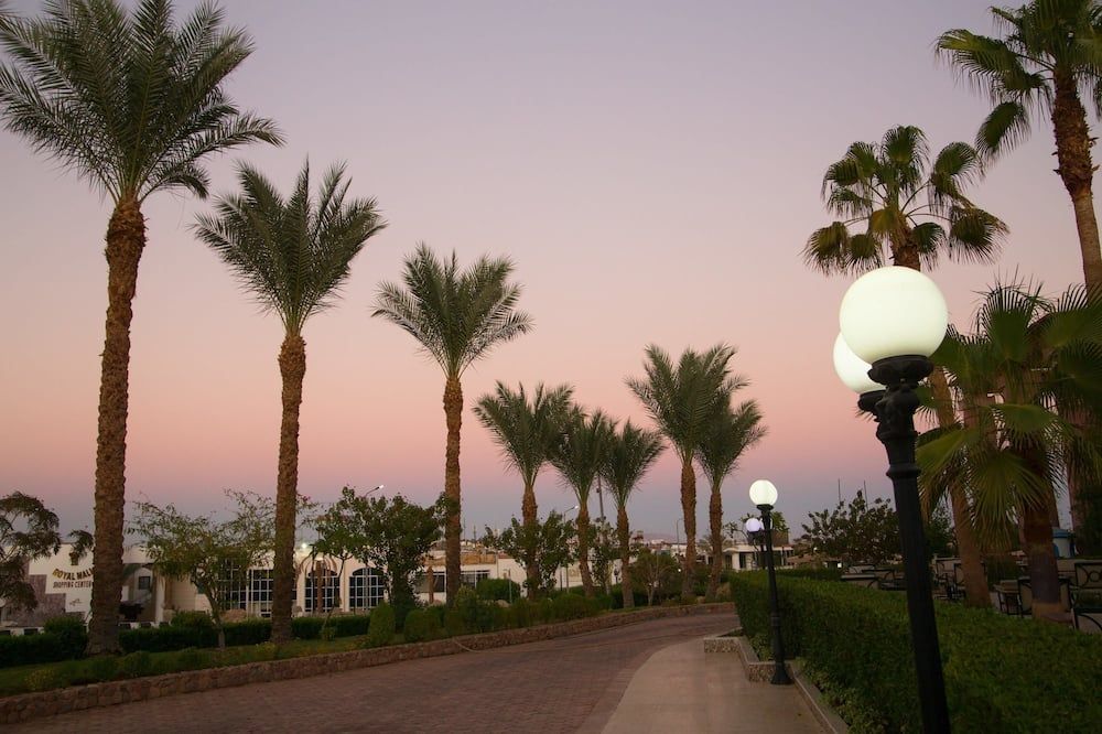 المظهر الخارجي