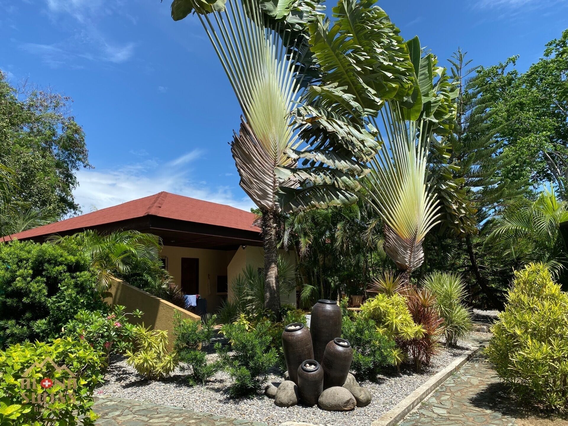 المظهر الخارجي