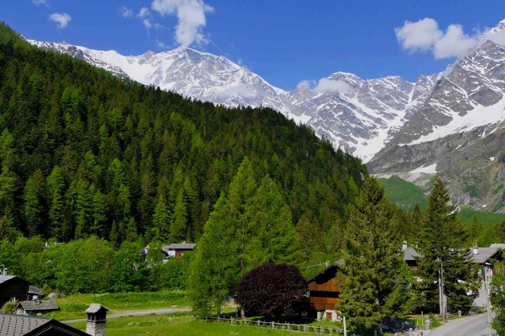 المظهر الخارجي