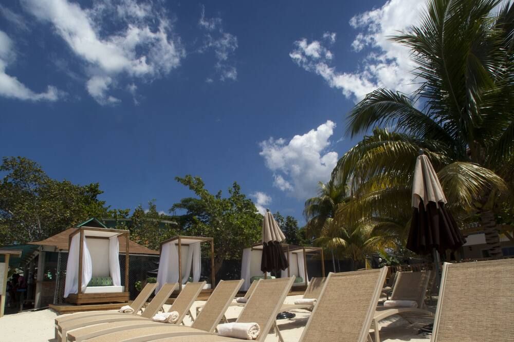 المظهر الخارجي