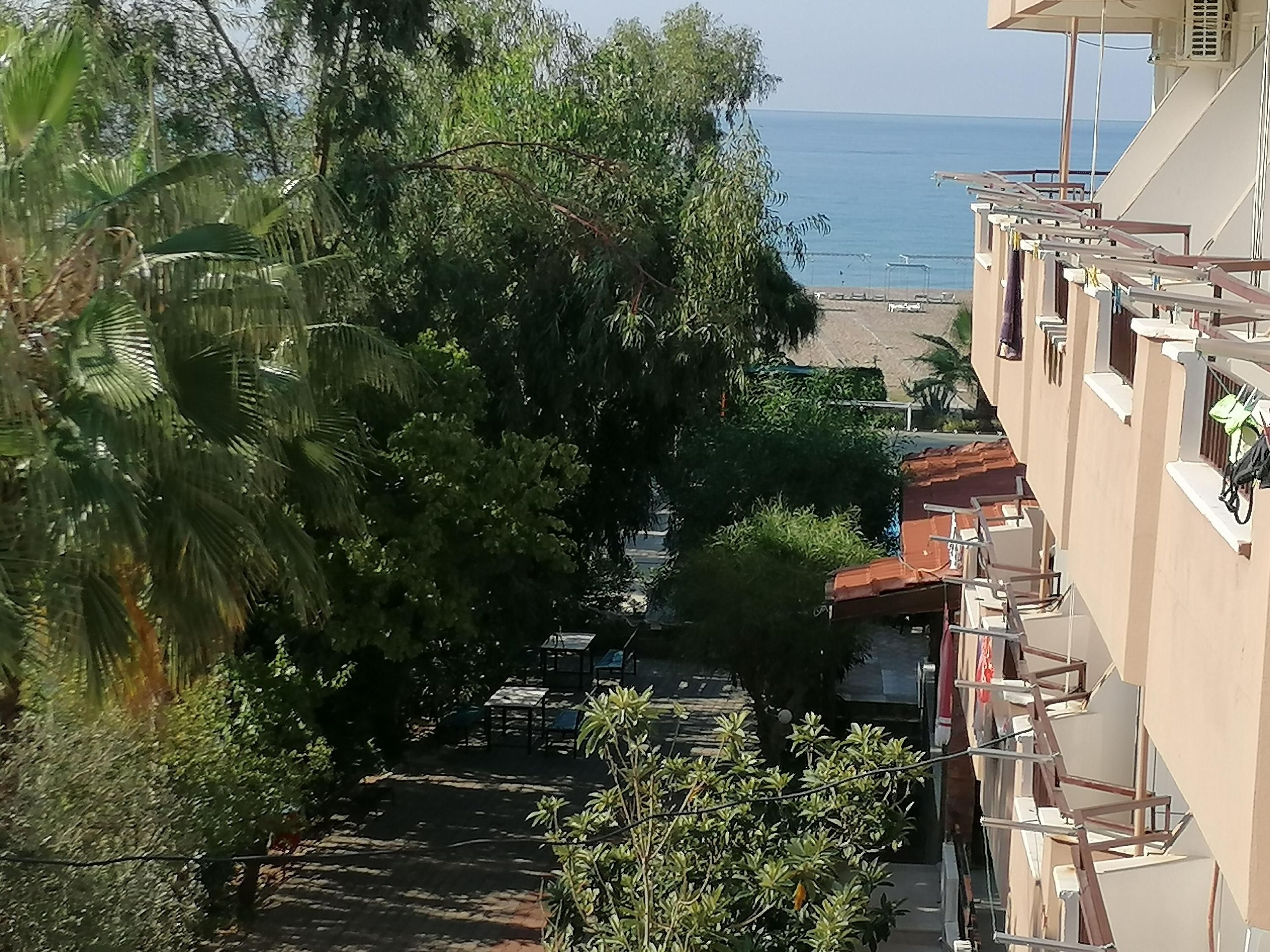 المظهر الخارجي