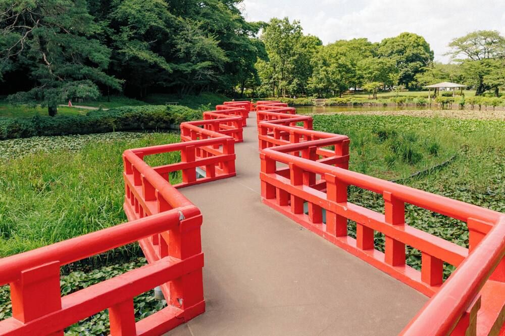 المظهر الخارجي