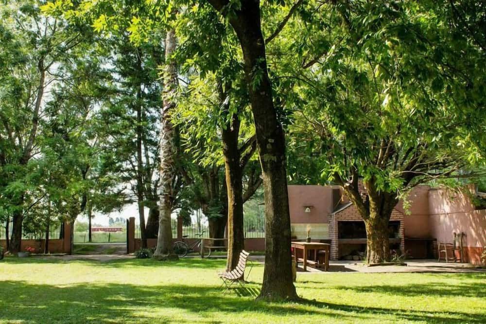 المظهر الخارجي