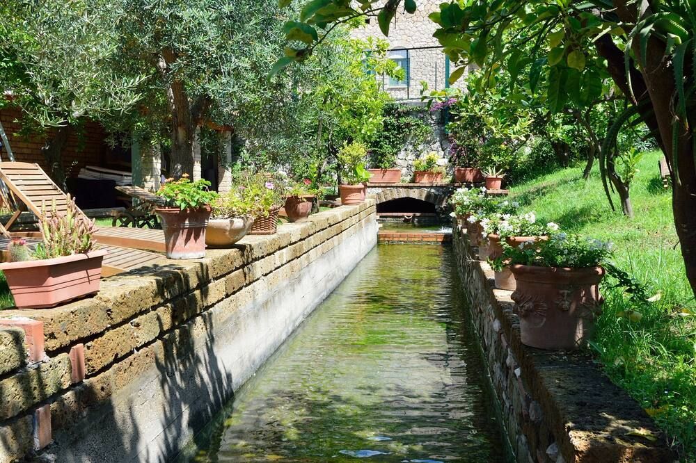 المظهر الخارجي