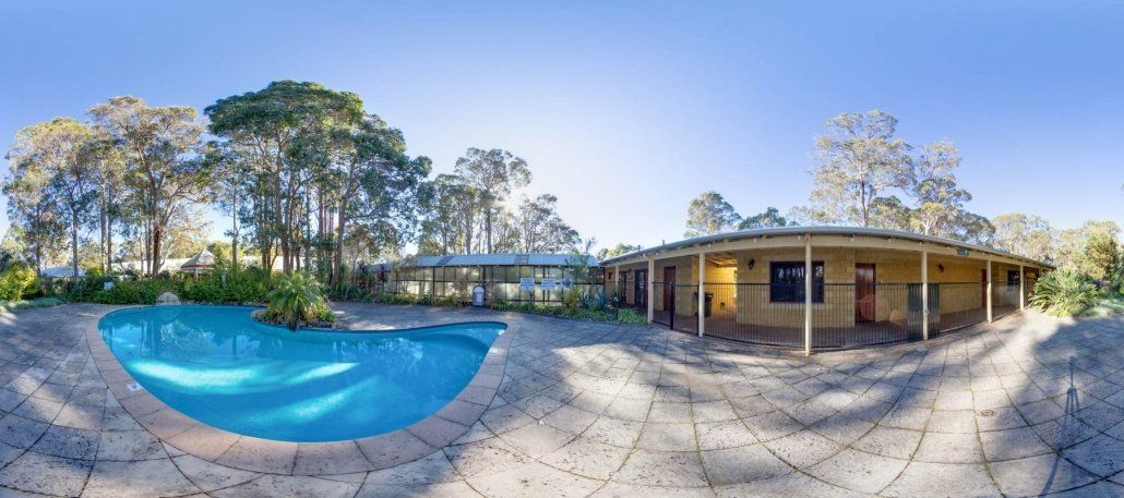 حوض السباحة