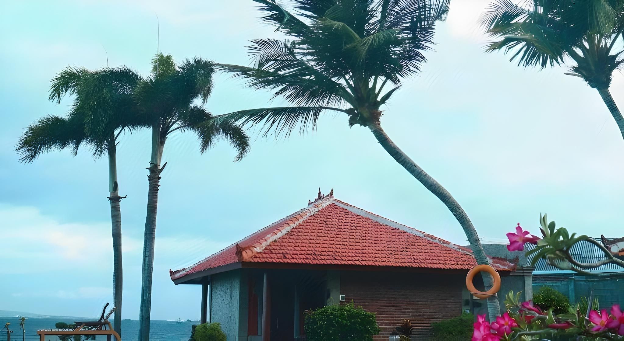 المظهر الخارجي