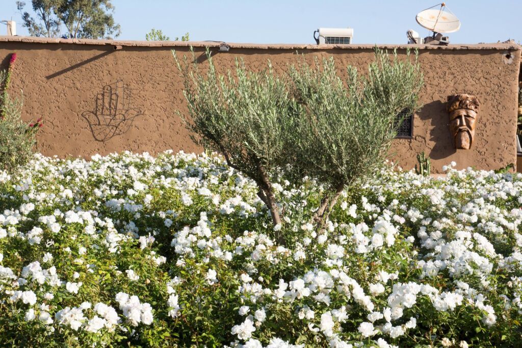 المظهر الخارجي