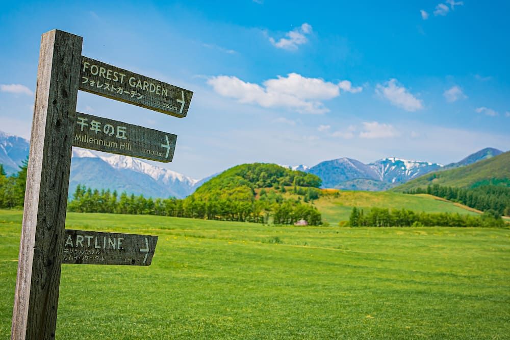 المظهر الخارجي