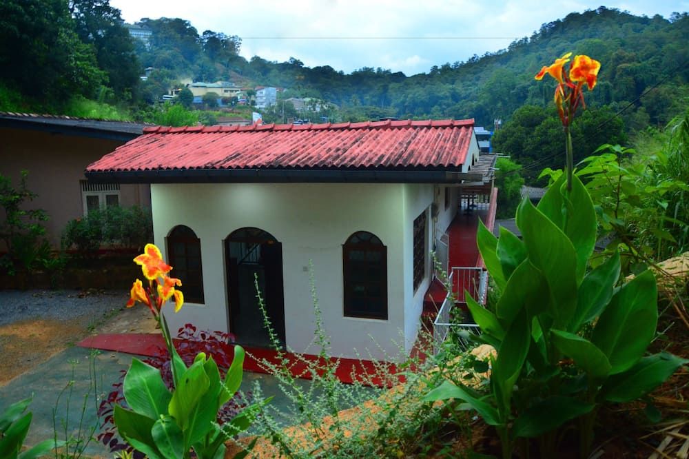 المظهر الخارجي