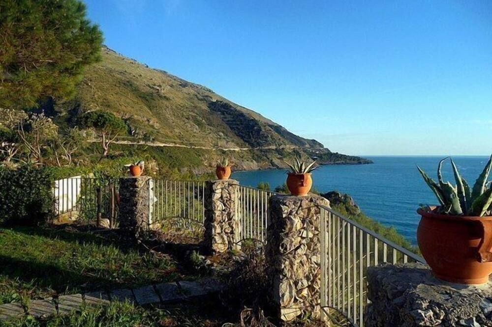 المظهر الخارجي