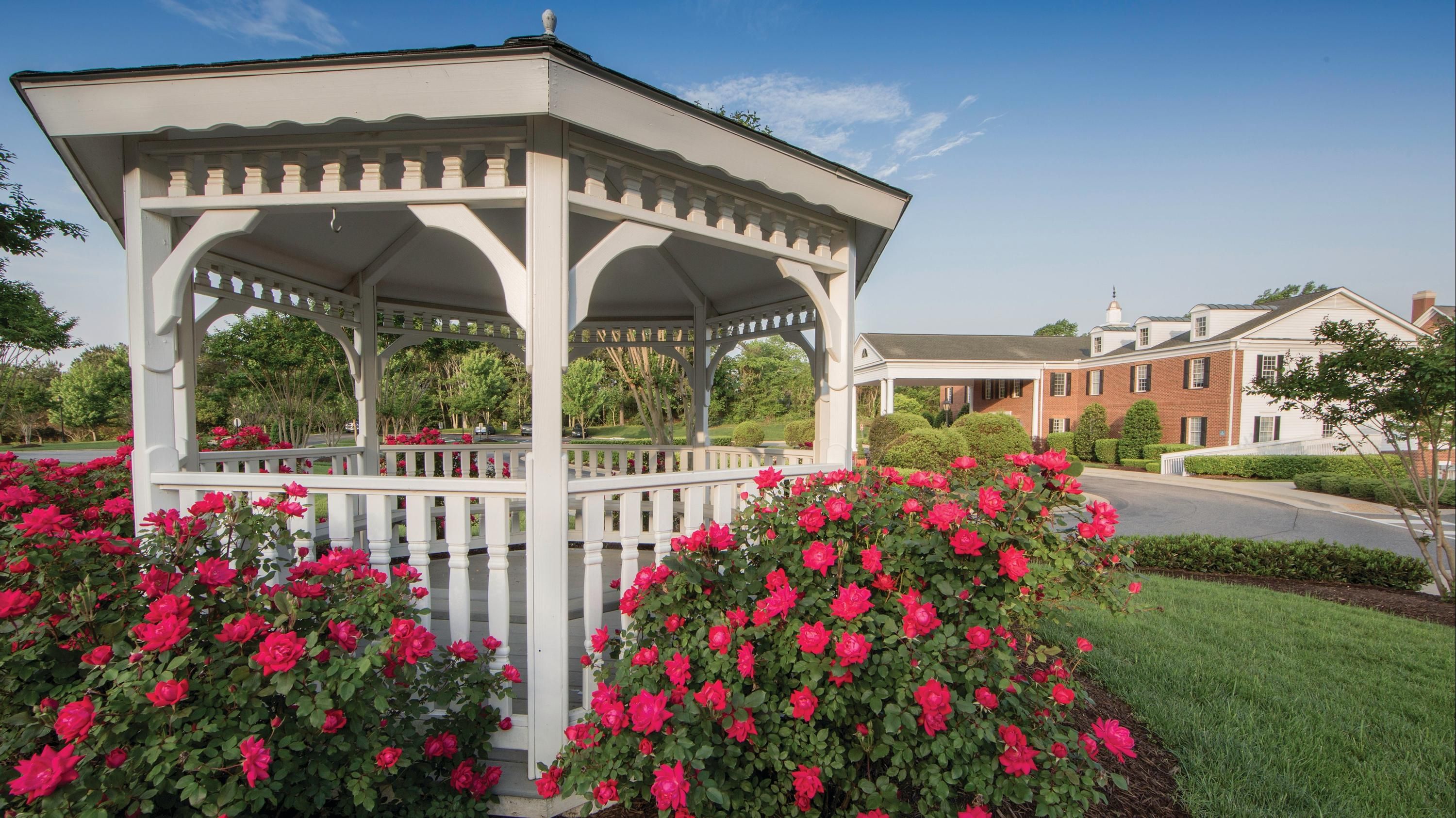 المظهر الخارجي