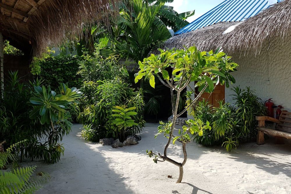 المظهر الخارجي