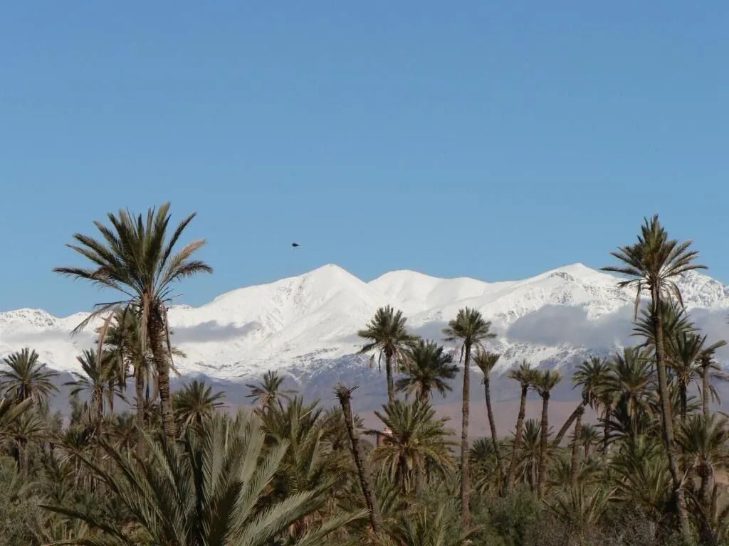 المظهر الخارجي