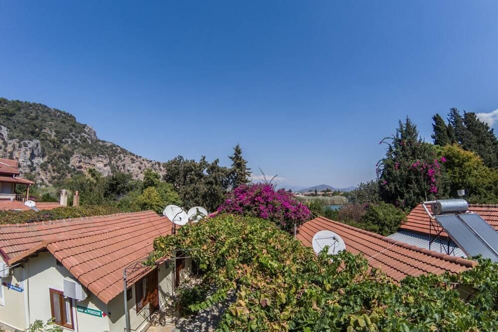 المظهر الخارجي