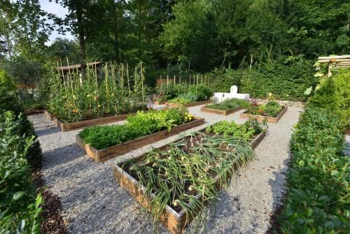 المظهر الخارجي