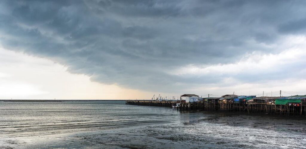 المظهر الخارجي