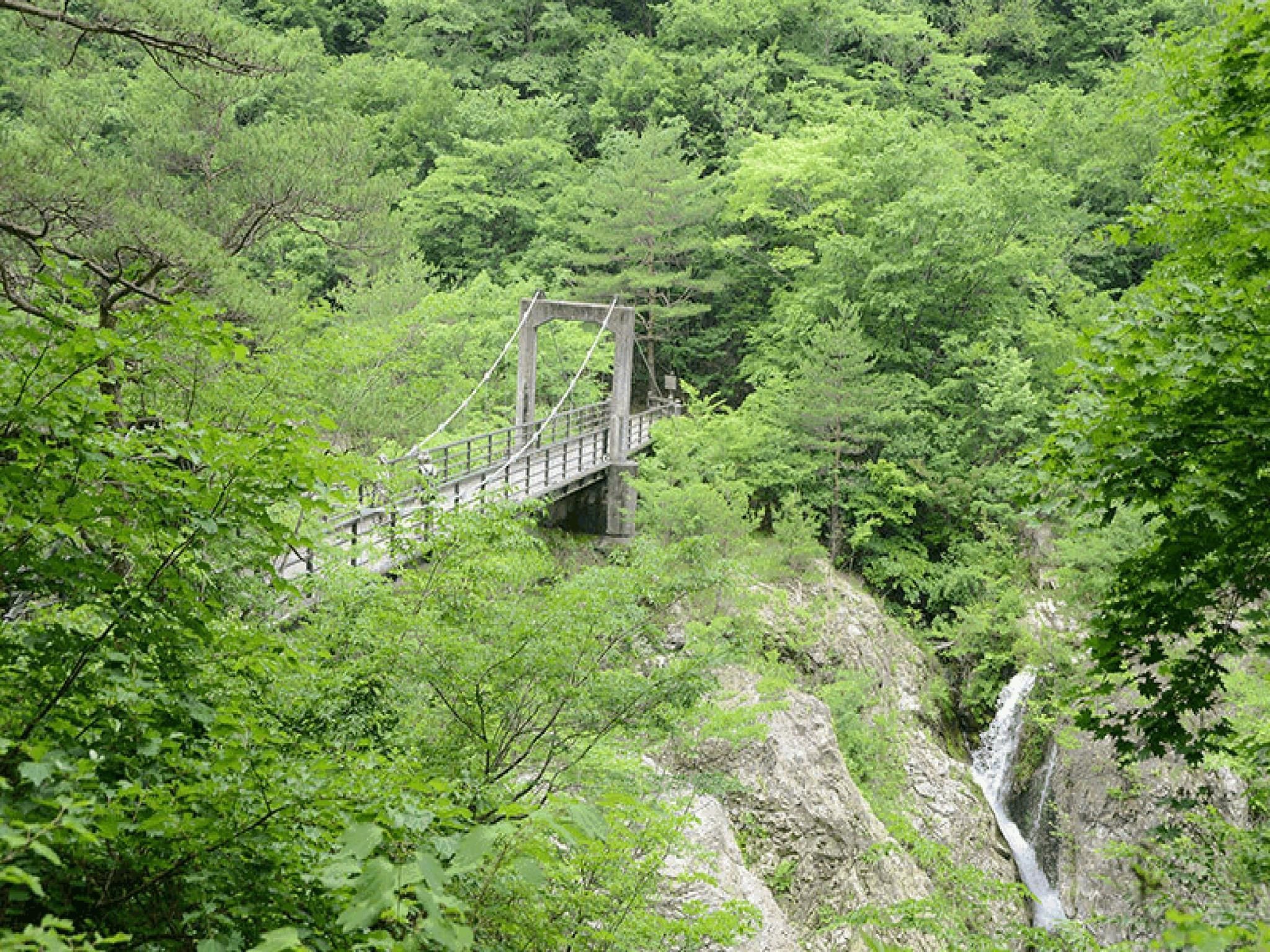 المظهر الخارجي