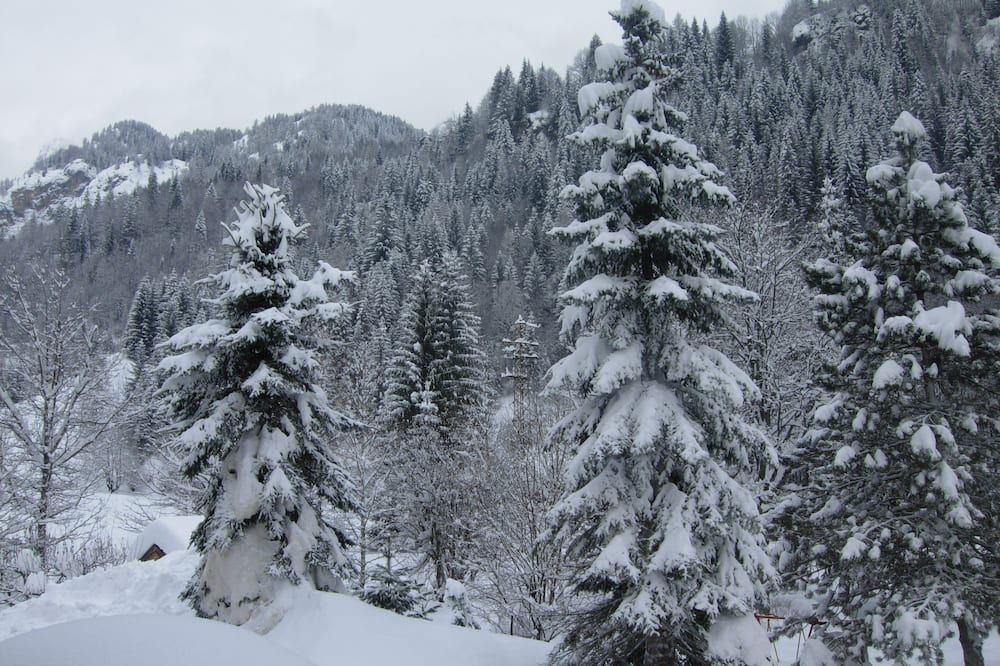 المظهر الخارجي