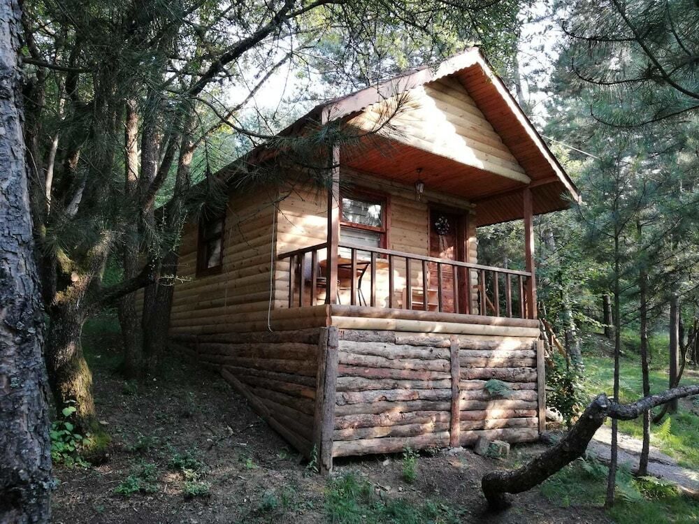 المظهر الخارجي