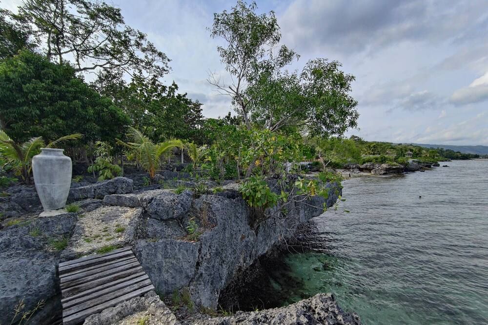 المظهر الخارجي