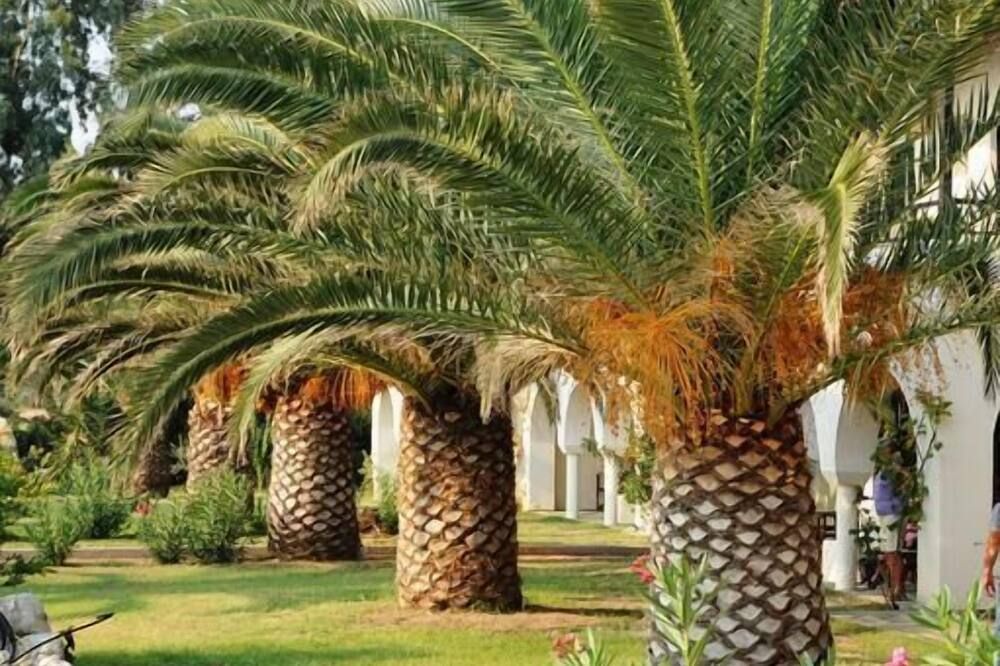 المظهر الخارجي