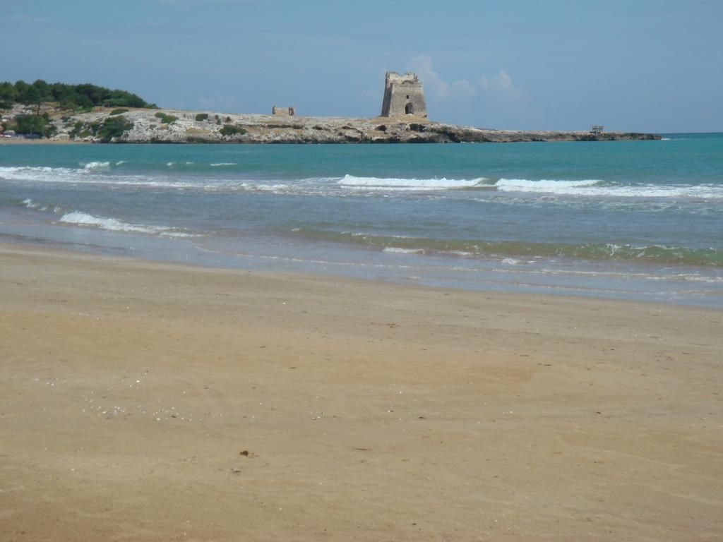 شاطئ صورة