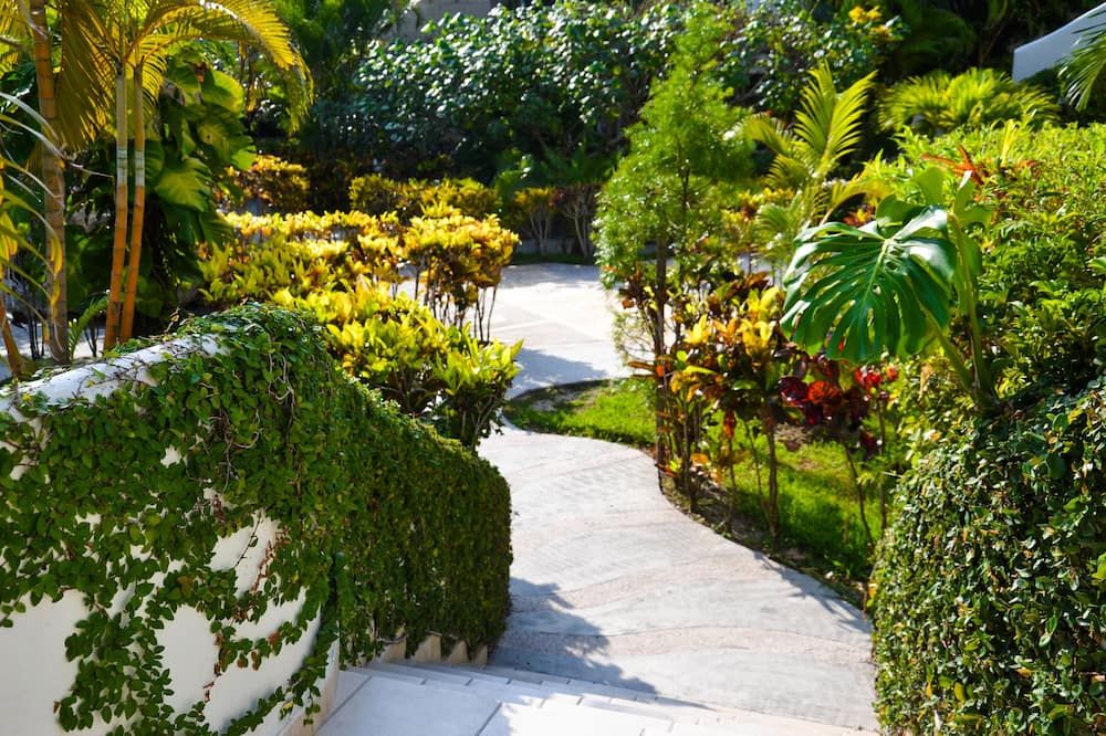 المظهر الخارجي