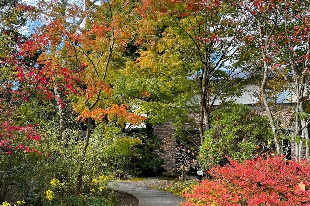 المظهر الخارجي