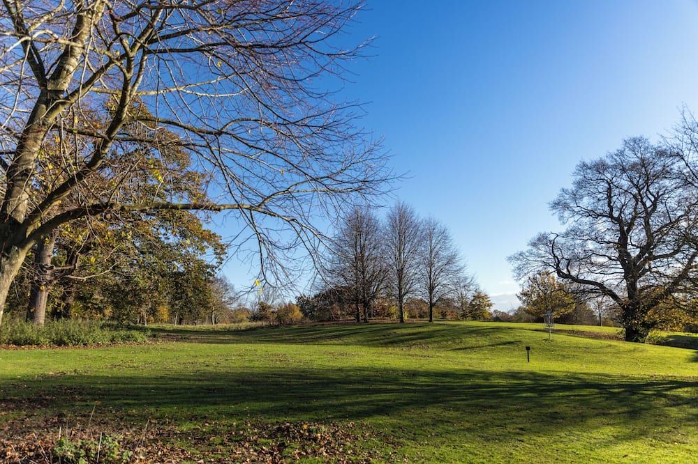 المظهر الخارجي