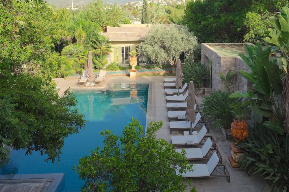 حوض السباحة