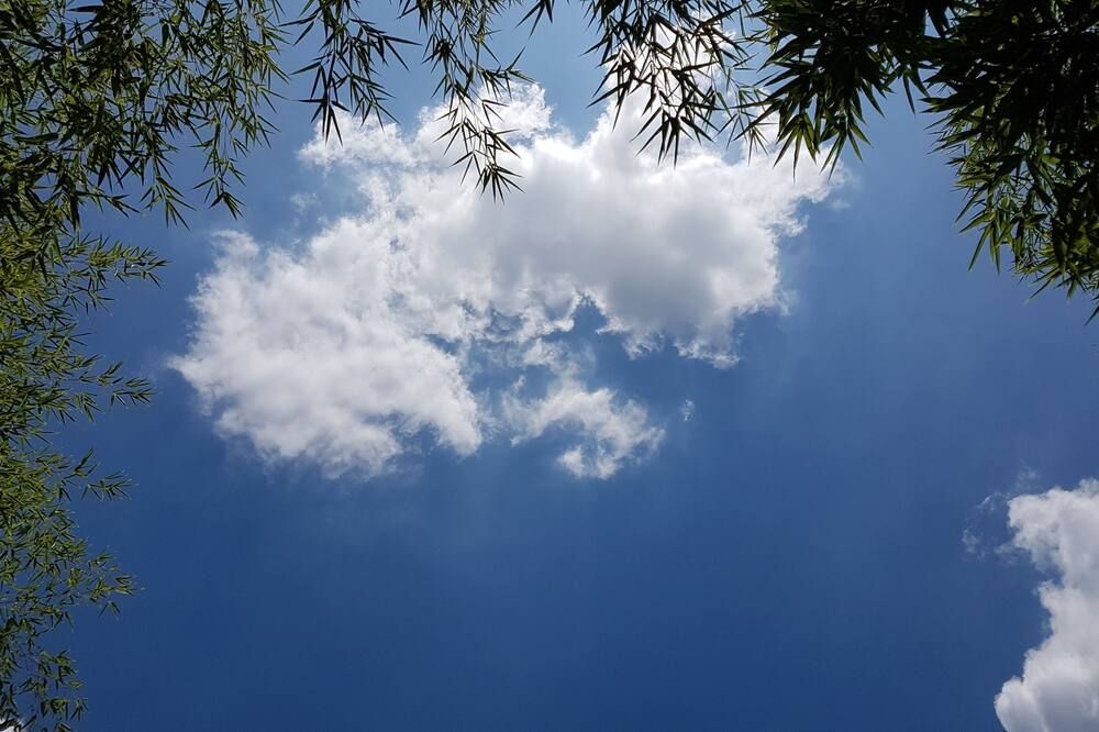 المظهر الخارجي