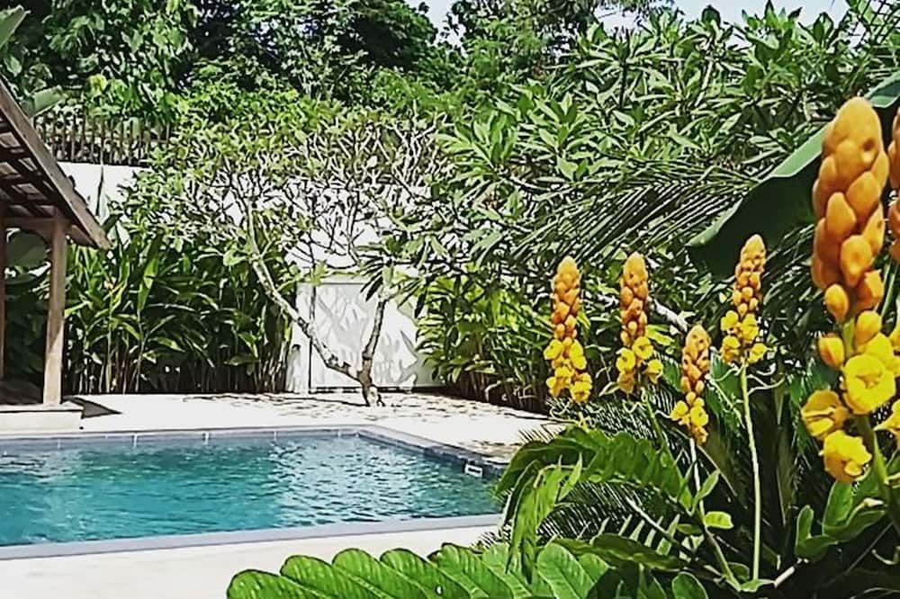 حوض السباحة صورة