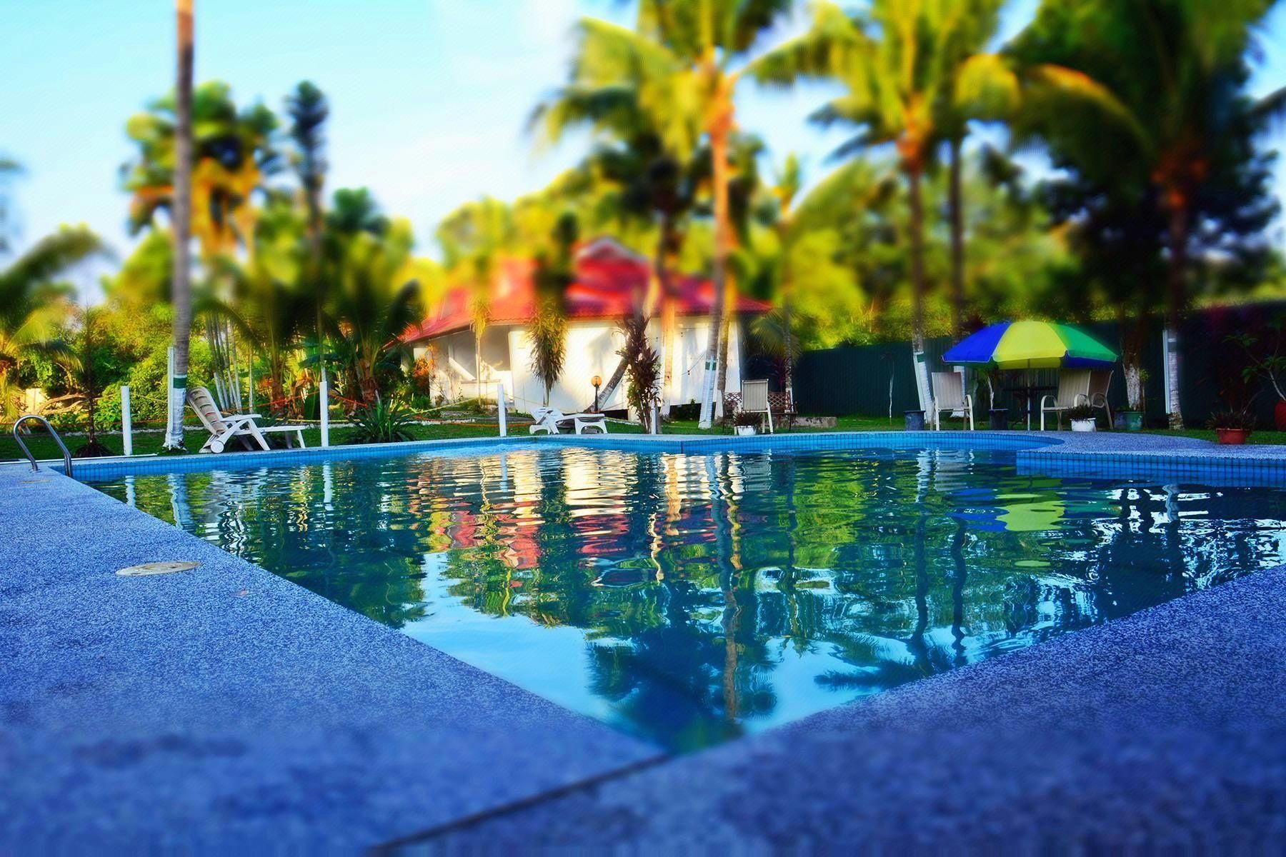 حوض السباحة