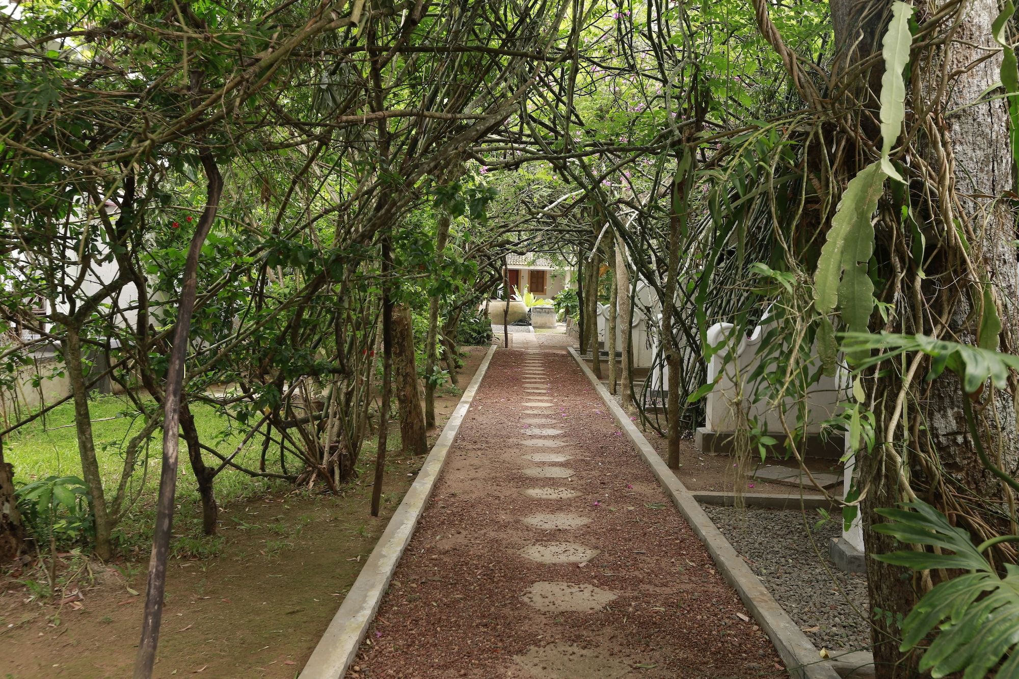 المظهر الخارجي
