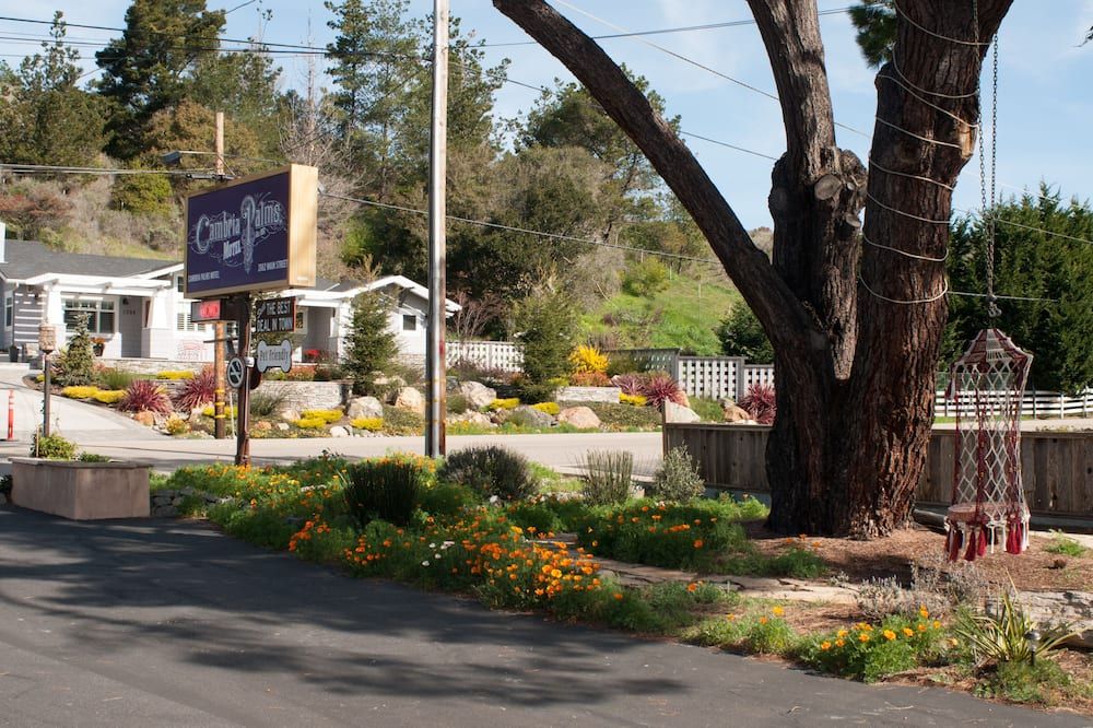 المظهر الخارجي