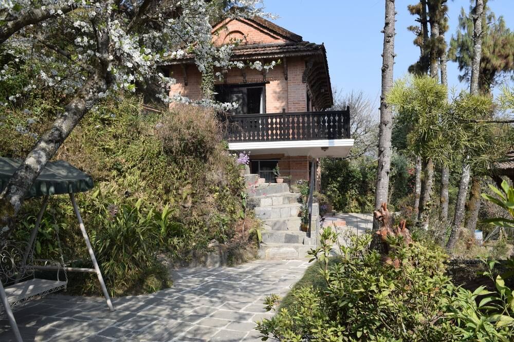 المظهر الخارجي