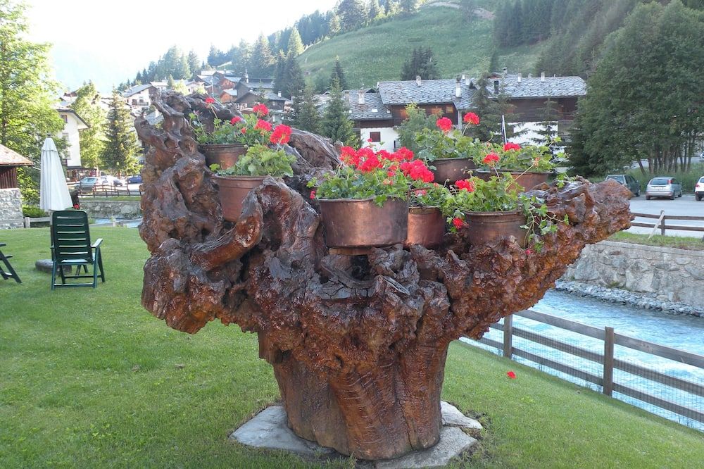 المظهر الخارجي