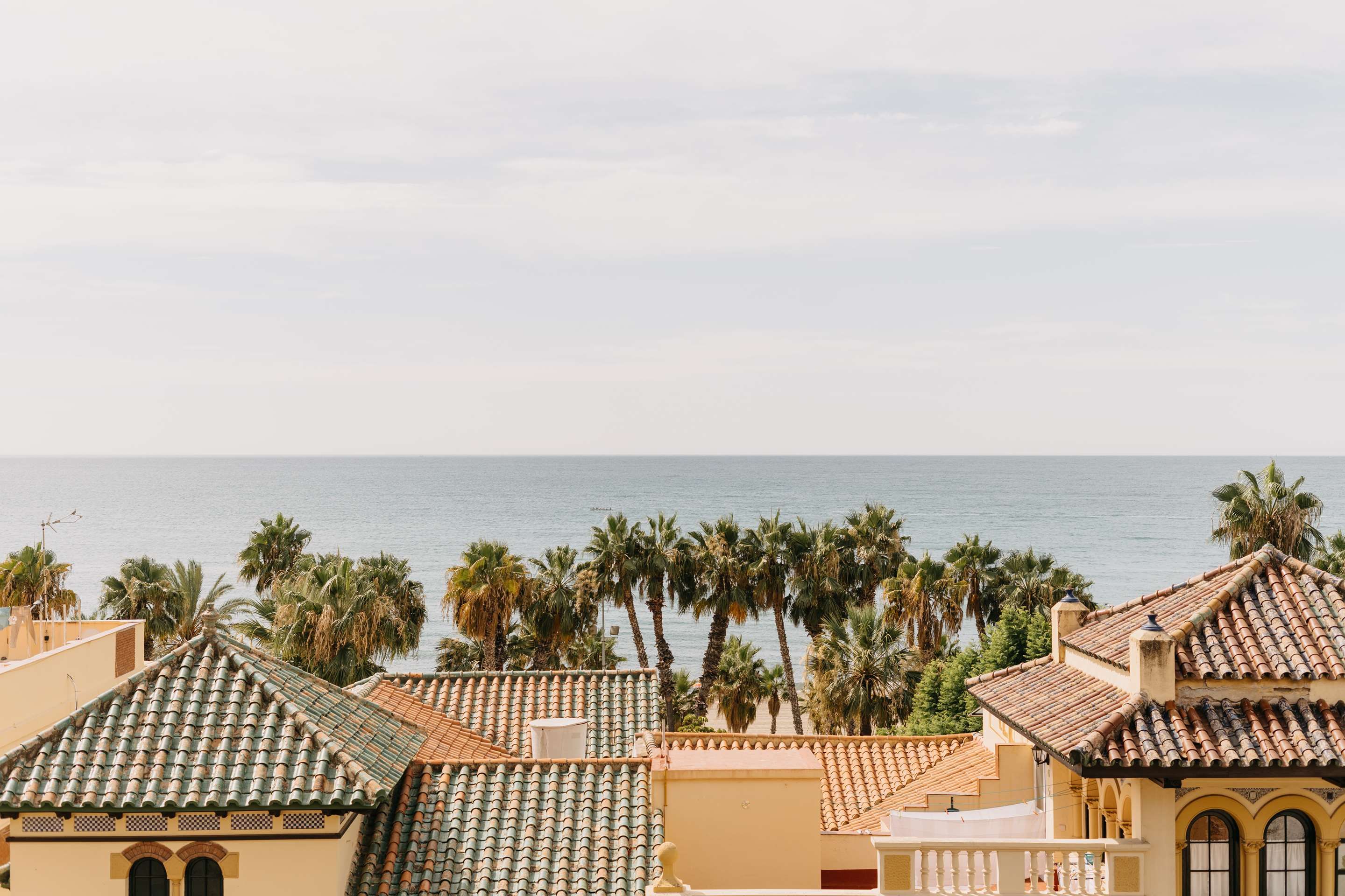 المظهر الخارجي