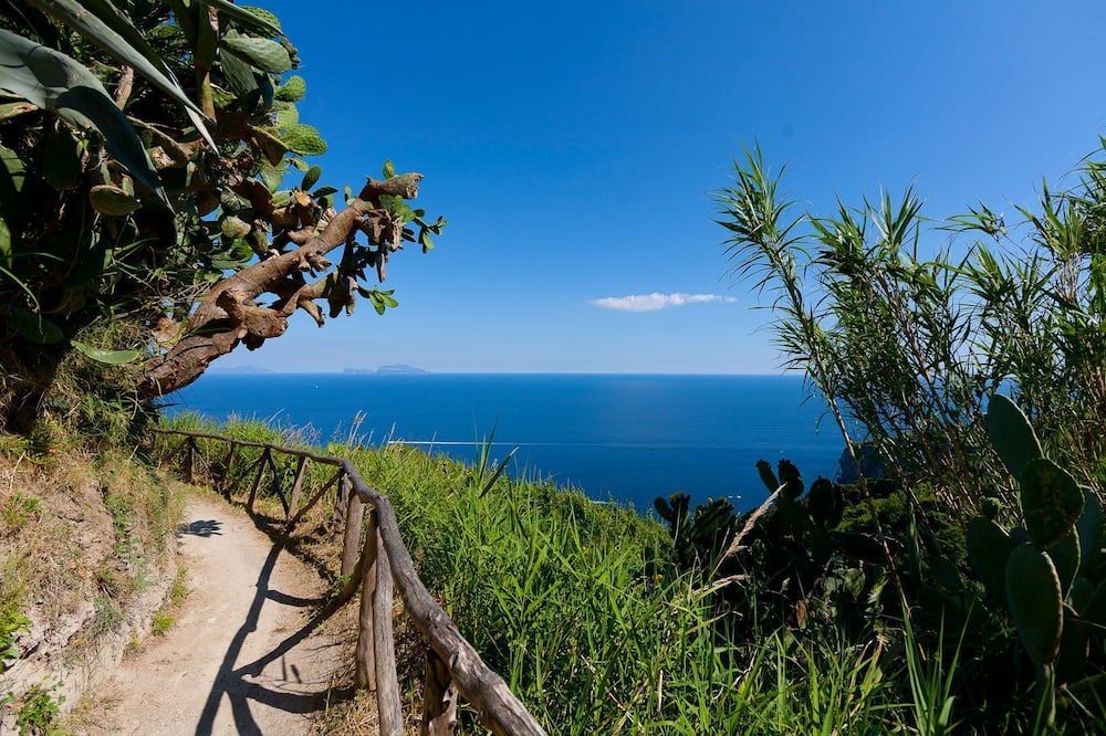 المظهر الخارجي