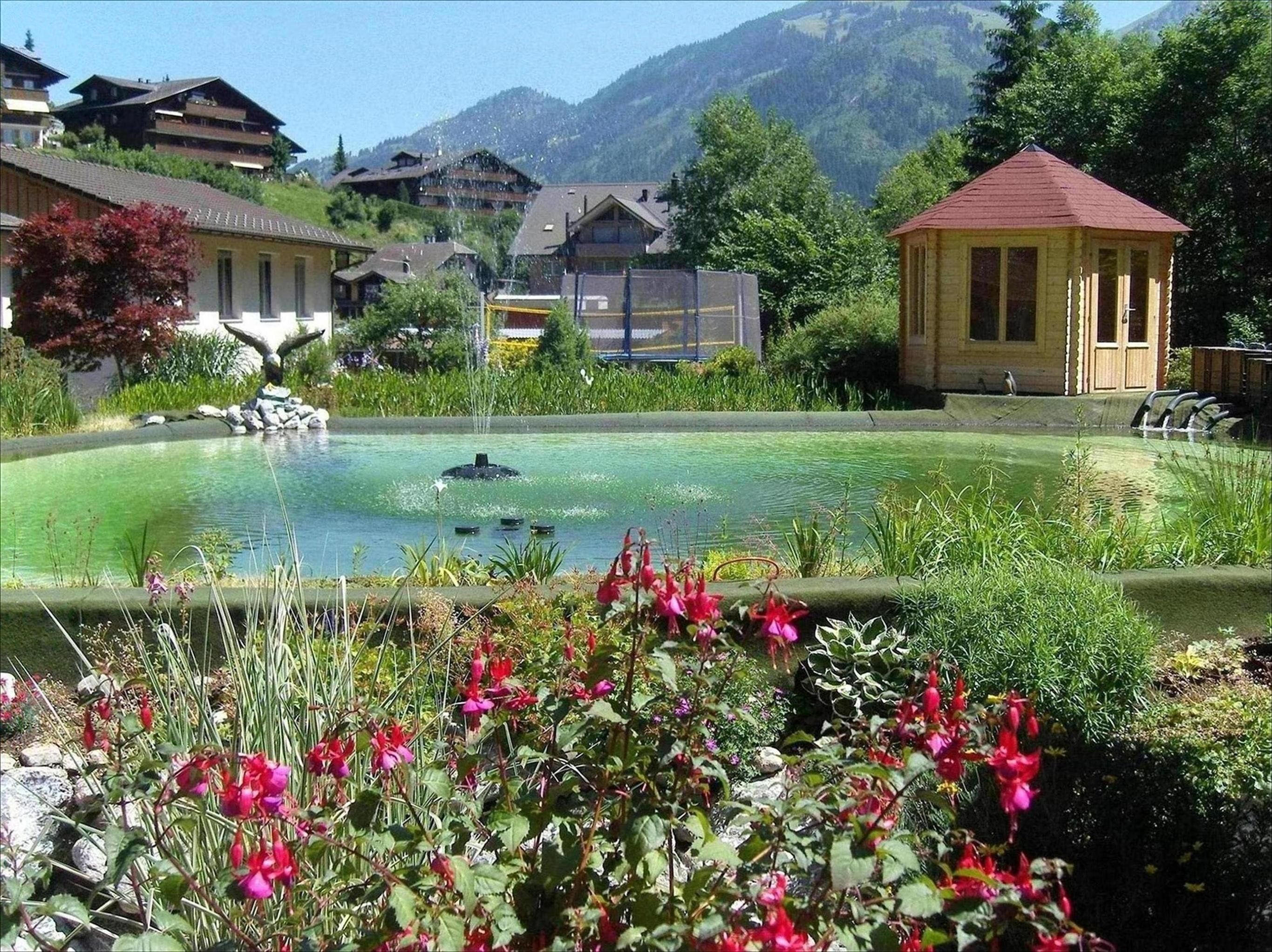 المظهر الخارجي